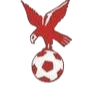 https://img.hipook.com/img/football/team/4802d26df935b78bb2fcdbbff36e8864.png