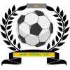 https://img.hipook.com/img/football/team/6dc6d59af2f0962597b412473a6708ee.png