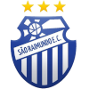 https://img.hipook.com/img/football/team/91cbaa5a5aeed6abf4caac371ffe4e3c.png